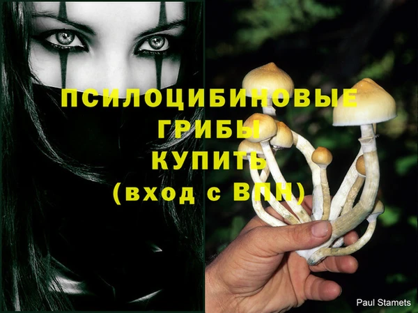 спиды Абаза