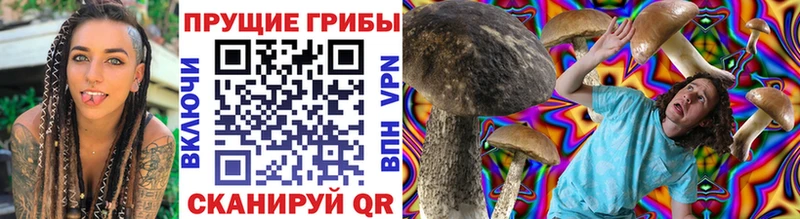 купить закладку  Лабинск  Псилоцибиновые грибы ЛСД 