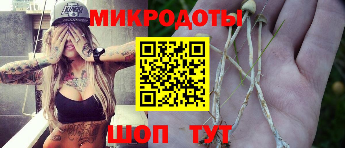 Псилоцибиновые грибы Cubensis Лабинск